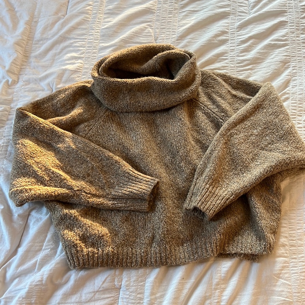Cropped turtleneck sweater